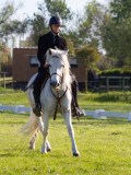 IMG_0333