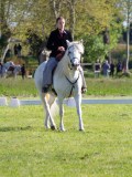IMG_0533