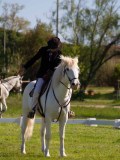 IMG_0675