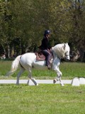IMG_0068