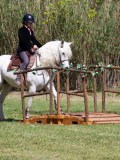 IMG_0428