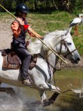 IMG_0440
