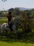 IMG_0445