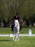 IMG_1148
