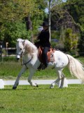 IMG_1160