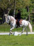 IMG_1161