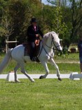 IMG_1167