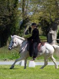 IMG_0941