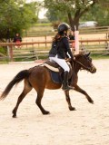 DSC07414 DSC07414