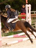 DSC07420 DSC07420