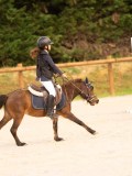 DSC07430 DSC07430