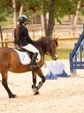 DSC07922