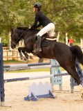 DSC01329 DSC01329