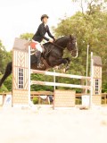 DSC01334 DSC01334