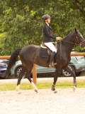 DSC01346 DSC01346