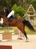 DSC09195 DSC09195