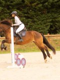 DSC07729 DSC07729