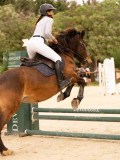 DSC07733 DSC07733