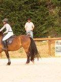 DSC07737 DSC07737