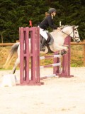 DSC00225 DSC00225