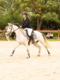 DSC00227 DSC00227