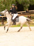 DSC00234 DSC00234