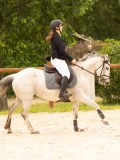 DSC00239 DSC00239