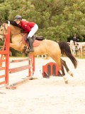 DSC00394 DSC00394