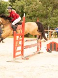 DSC00395 DSC00395