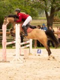 DSC00398 DSC00398