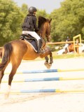 DSC08588 DSC08588