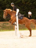 DSC00798