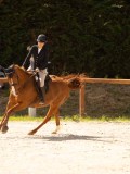 DSC03187 DSC03187