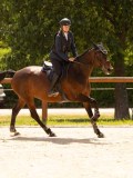 DSC03037