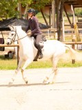 DSC02798 DSC02798