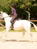 DSC02800 DSC02800