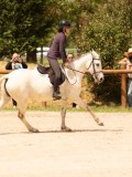 DSC02816 DSC02816