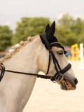 DSC01524 DSC01524