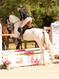 DSC01529 DSC01529