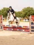 DSC01531 DSC01531