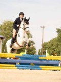 DSC01535 DSC01535