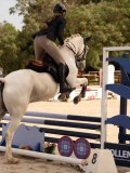 DSC01536 DSC01536