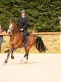 DSC01716 DSC01716