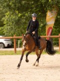 DSC01728 DSC01728