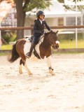 DSC03676 DSC03676