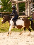 DSC03669