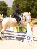 DSC04524 DSC04524