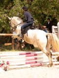 DSC04529 DSC04529