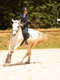 DSC04537 DSC04537