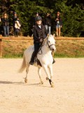 DSC03374 DSC03374